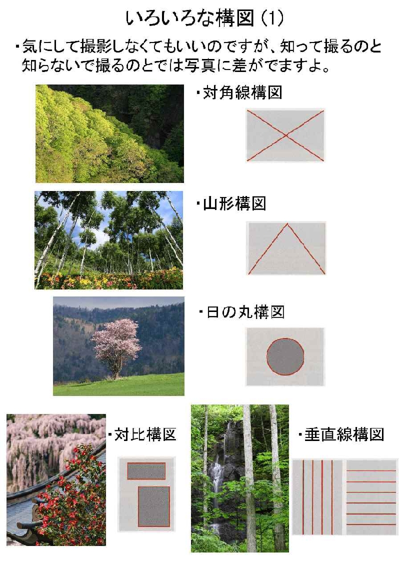 24 いろいろな構図 1.jpg