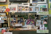 店内アルバム.jpg