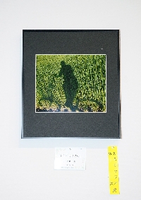005_PrintImg5.jpg